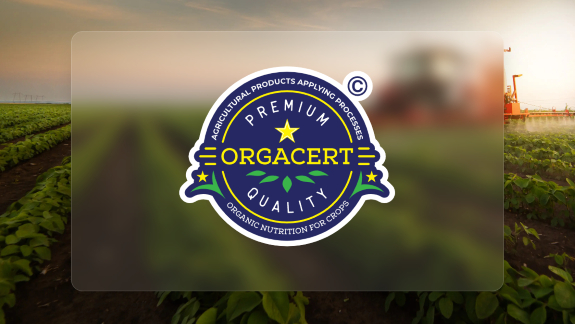 Bón phân lúc nào tốt nhất?